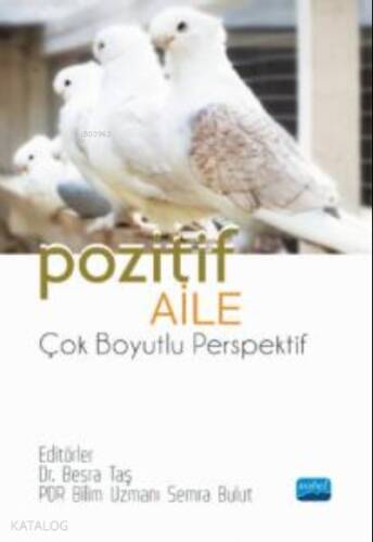 Pozitif Aile-Çok Boyutlu Perspektif - 1