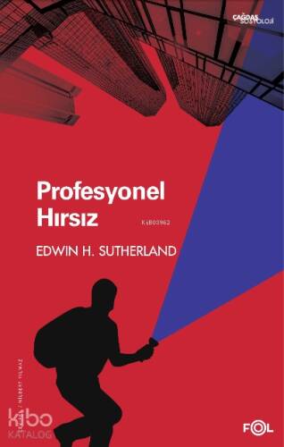 Profesyonel Hırsız - 1