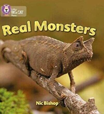 Real Monsters (Big Cat Phonics-3 Yellow) - 1