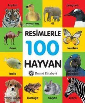 Resimlerle 100 Hayvan - Küçük Boy - 1