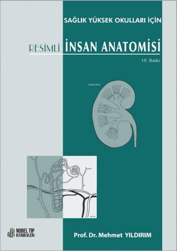 Resimli İnsan Anatomisi 10.Baskı - 1