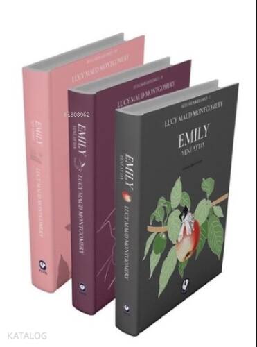 Rüzgarın Kızı Emily Serisi (3 Kitap Takım) - 1