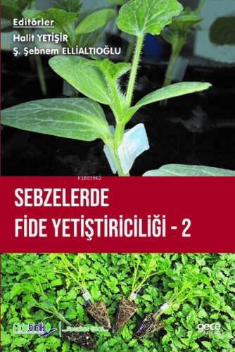 Sebzelerde Fide Yetiştiriciliği 2 - 1