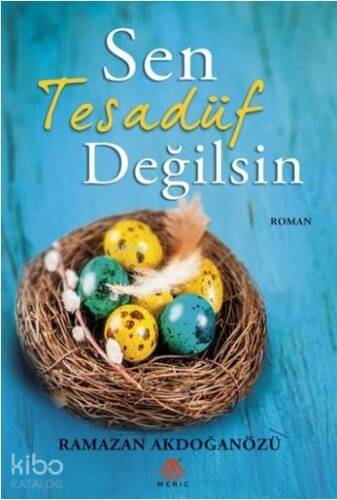 Sen Tesadüf Değilsin - 1