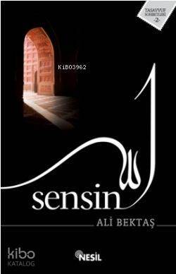 Sensin - 1