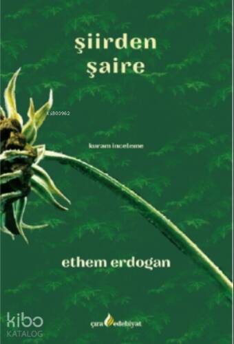 Şiirden Şaire - 1