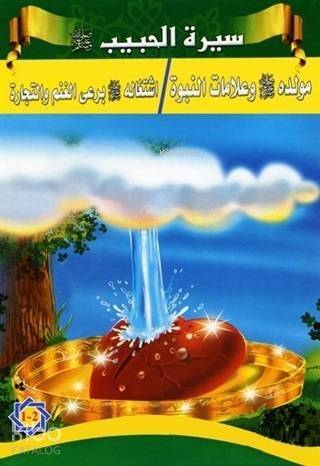 Siretü'l-Habib - Peygamberimizin Hayatı (5 Kitap Takım) - 1