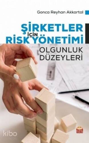 Şirketler İçin Risk Yönetimi; Olgunluk Düzeyleri - 1