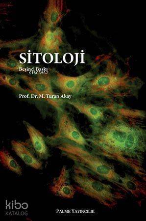 Sitoloji - 1