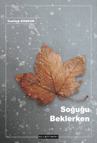 Soğuğu Beklerken - 1