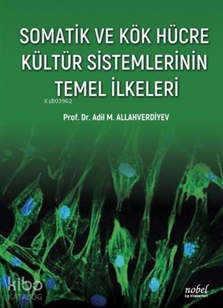 Somatik ve Kök Hücre Kültür Sistemlerinin Temel İlkeleri - 1