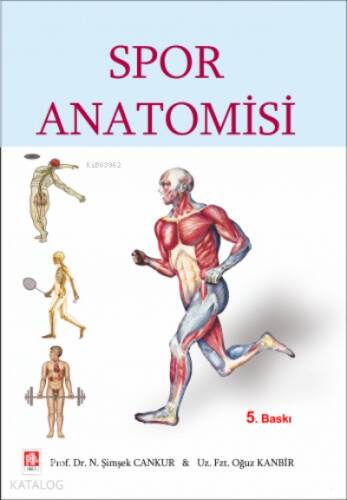 Spor Anatomisi - 1