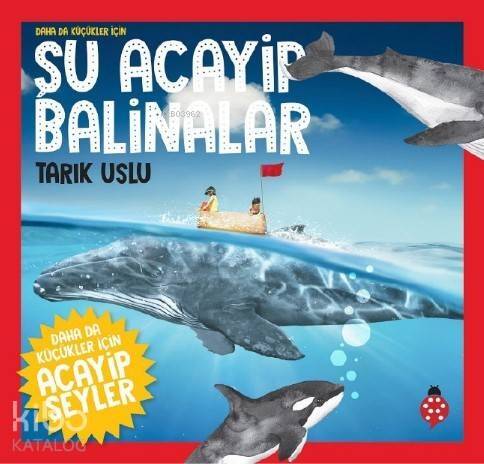 Şu Acayip Balinalar; Daha da Küçükler İçin - 1