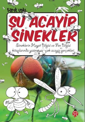 Şu Acayip Sinekler - 1