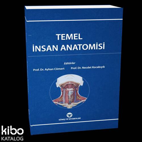 Temel İnsan Anatomisi - 1