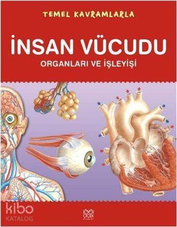 Temel Kavramlarla İnsan Vücudu; Organları ve İşleyişi - 1