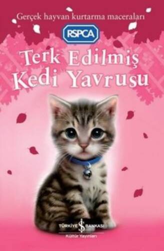 Terk Edilmiş Kedi Yavrusu - 1