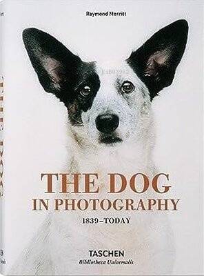 The Dog in Photography 1839-Today - 1