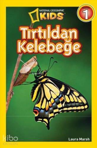 Tırtıldan Kelebeğe - 1