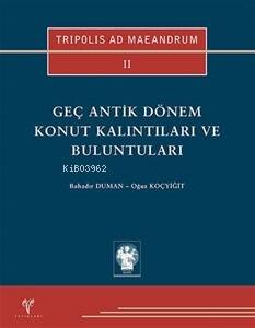 Tripolis Ad Maeandrum II;Geç Antik Dönem Konut Kalıntıları ve Buluntuları - 1