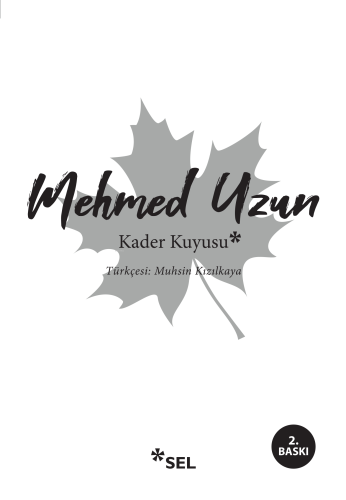 Kader Kuyusu - Kitapiks.com