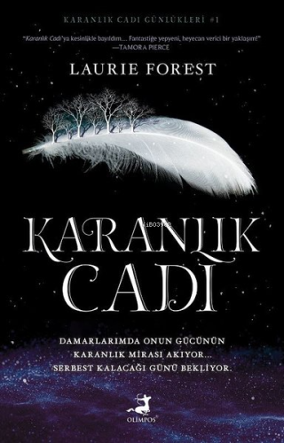 Karanlık Cadı - Karanlık Cadı Günlükleri 1 - Kitapiks.com