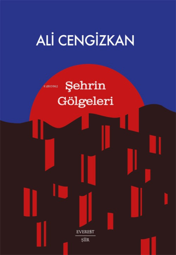 Şehrin Gölgeleri - Kitapiks.com