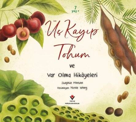 Üç Kayıp Tohum ve Var Olma Hikayeleri - 1