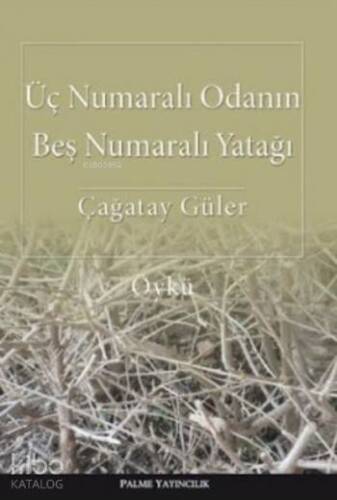 Üç Numaralı Odanın Beş Numaralı Yatağı - 1