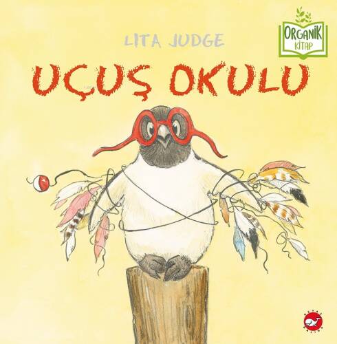 Uçuş Okulu - 1