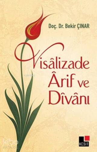 Visâlizade Ârif ve Dîvanı - 1