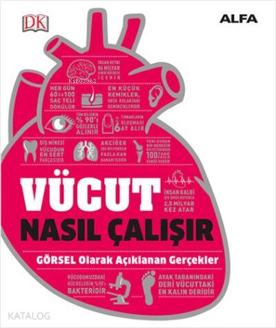 Vücut Nasıl Çalışır - 1