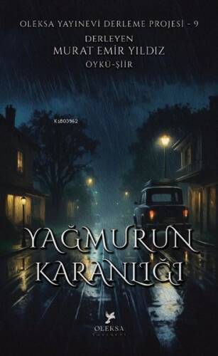 Yağmurun Karanlığı - 1