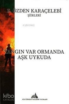 Yangın Var Ormanda Aşk Uykuda - 1