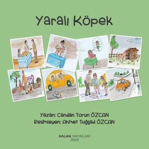 Yaralı Köpek - 1