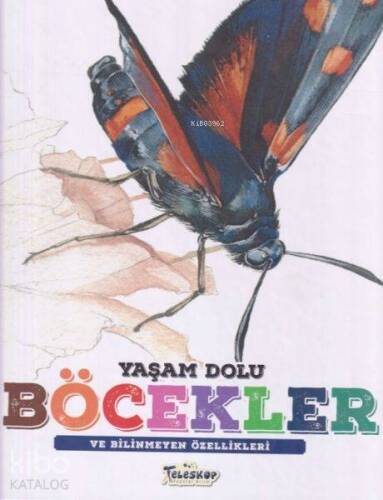 Yaşam Dolu Böcekler - 1