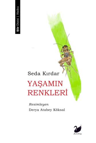 Yaşamın Renkleri - 1