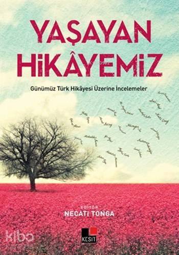 Yaşayan Hikâyemiz; Günümüz Türk Hikâyesi Üzerine İncelemeler - 1