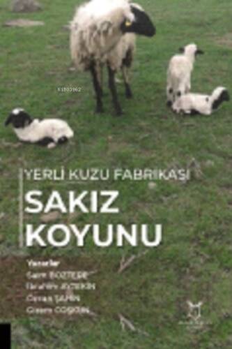 Yerli Kuzu Fabrikası Sakız Koyunu - 1