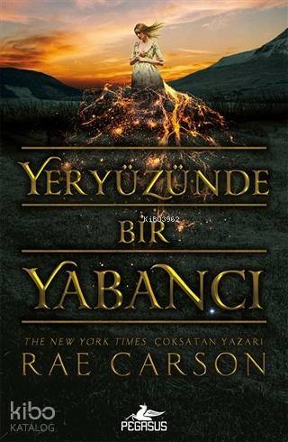 Yeryüzünde Bir Yabancı - 1