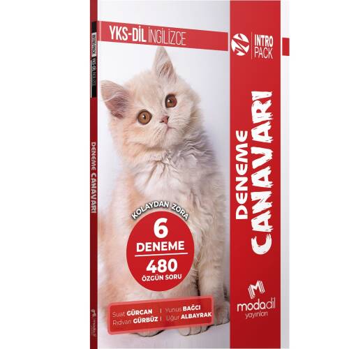 YKS Dil Intropack Deneme Canavarı 6 Deneme - 1