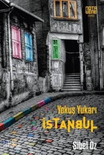 Yokuş Yukarı İstanbul - 1