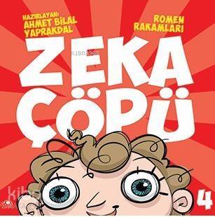 Zeka ÇÖpü-4; Romen Rakmaları - 1