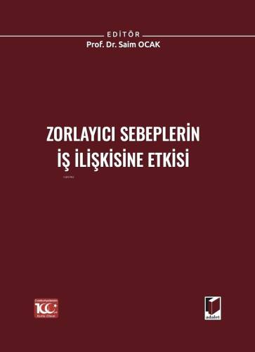 Zorlayıcı Sebeplerin İş İlişkisine Etkisi - 1